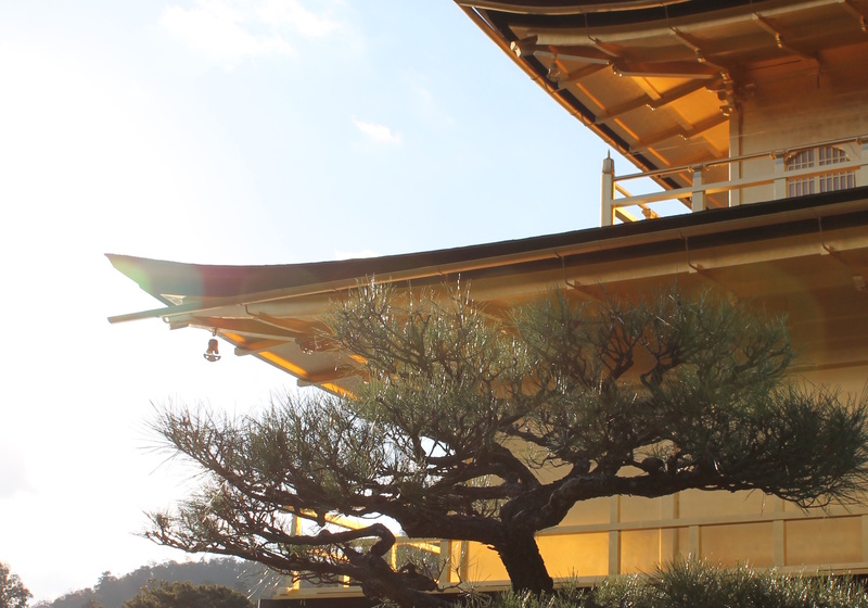 Oxide Superspin EPSRC-JSPS